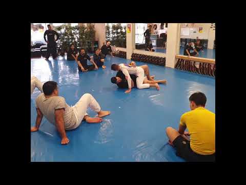 BJJ Specific for MMA Seminar June 2019