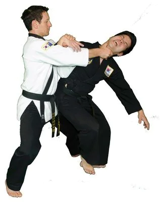 Understanding Martial Arts