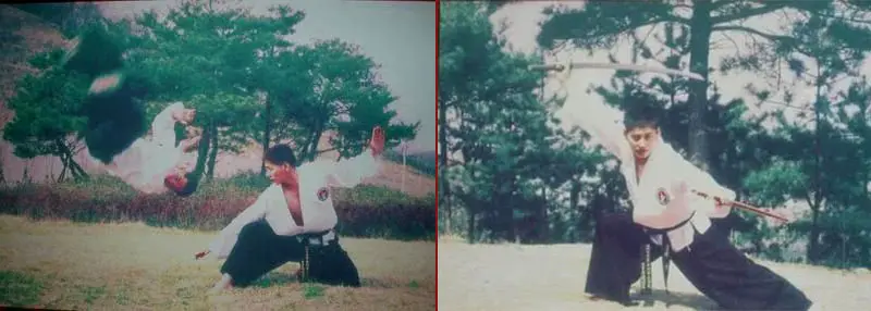 Hapkido Grandmaster Young Seol Ryoo