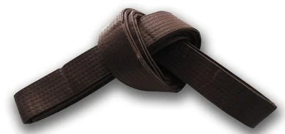 Hapkido Belt Ranking System