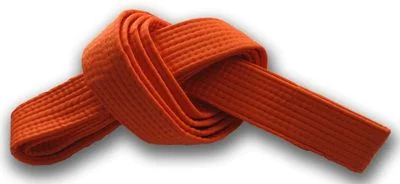 Hapkido Belt Ranking System
