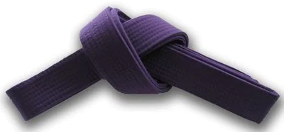 Hapkido Belt Ranking System