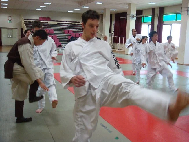 Hapkido History