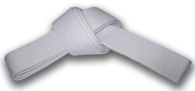 Hapkido Belt Ranking System